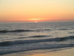 Sunset on Del Mar beach.Pelicans and dolphins. by Jon Justice 